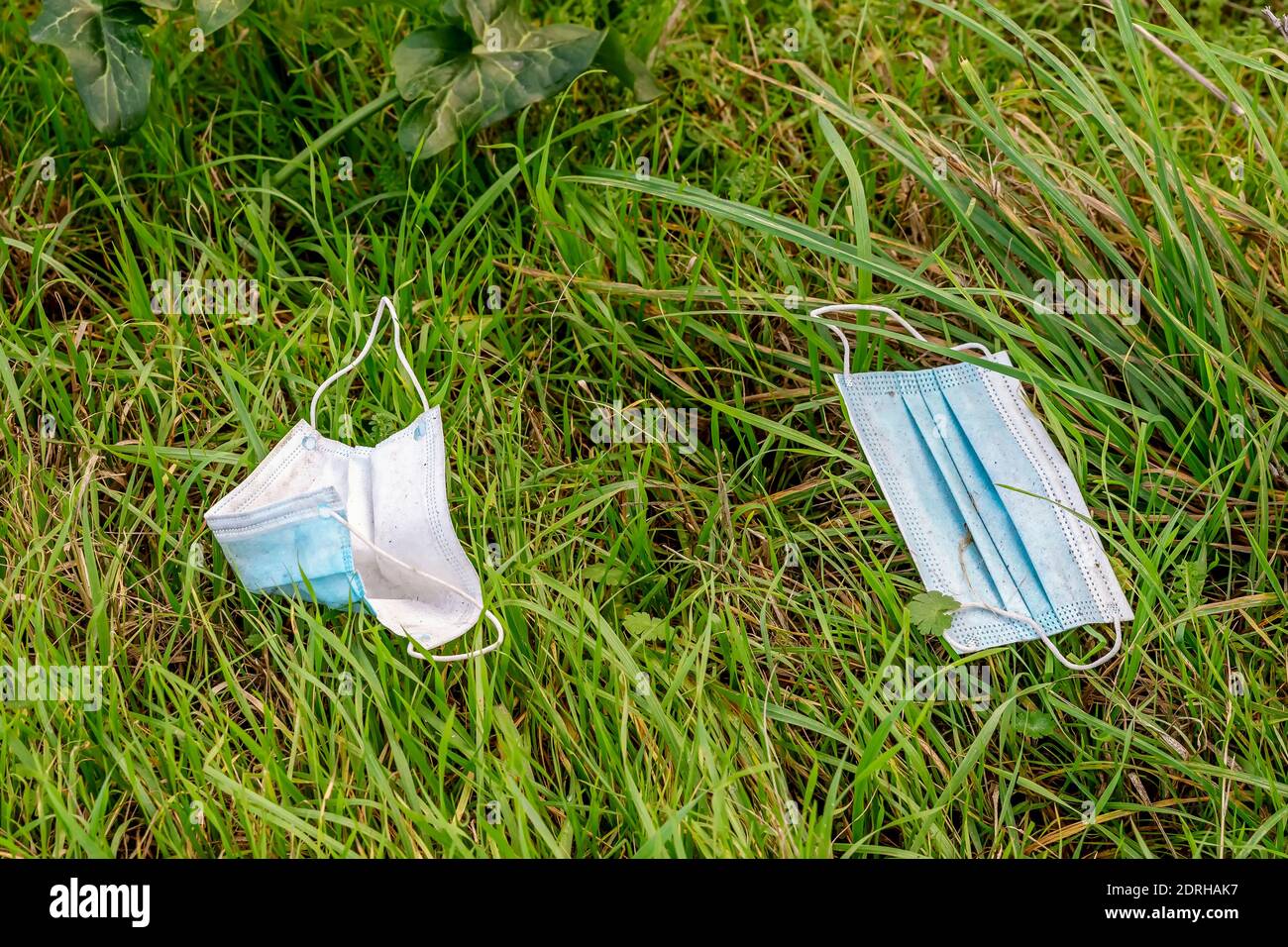 Maschere chirurgiche per proteggere il viso dal rischio di contagio da Coronavirus Covid-19 sono abbandonate in natura da persone incivilizzate, con grande rischio Foto Stock
