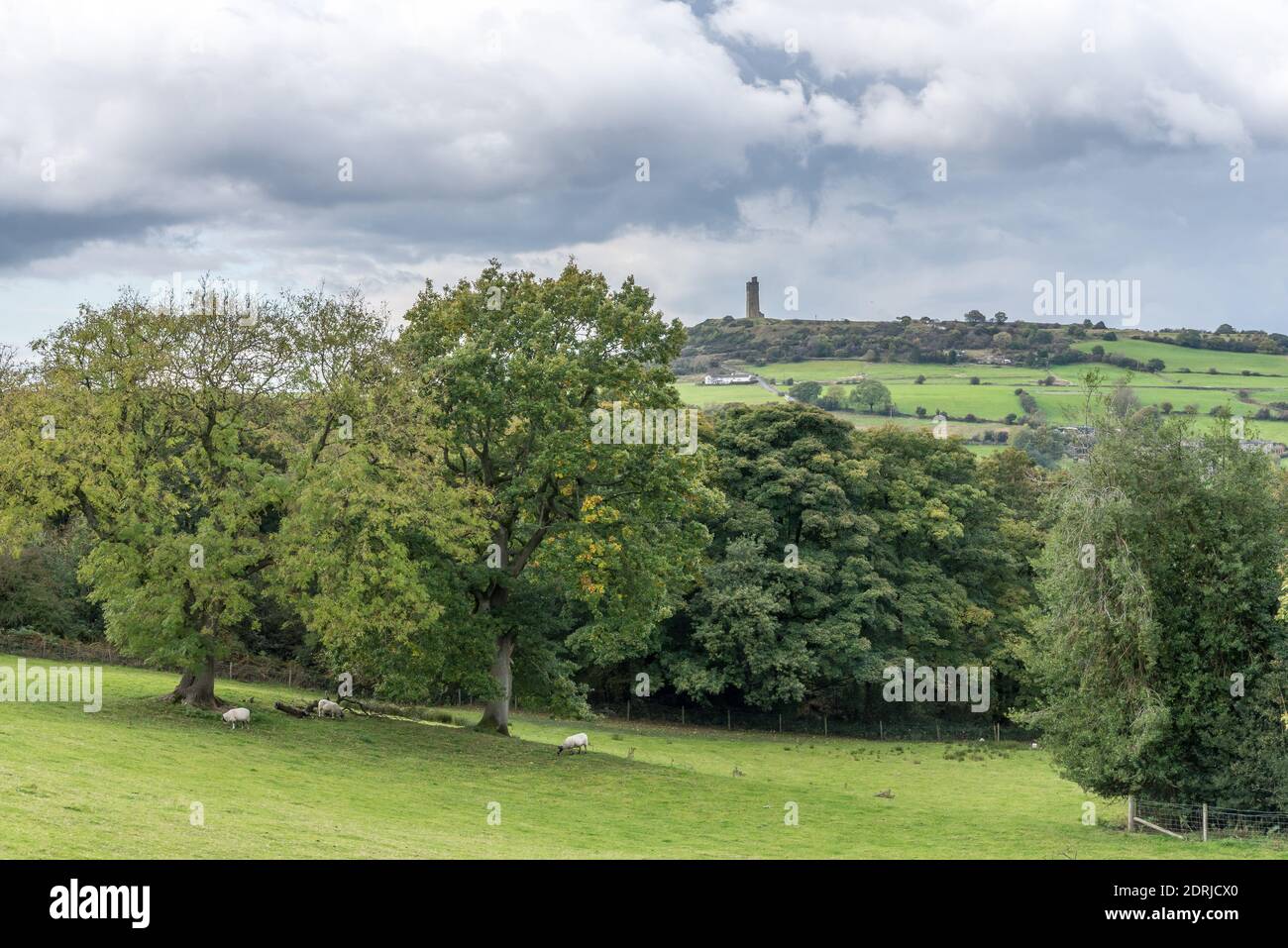 Castle Hill e Molly Carr Woods, Almondbury, Huddersfield, West Yorkshire, Inghilterra, Regno Unito Foto Stock