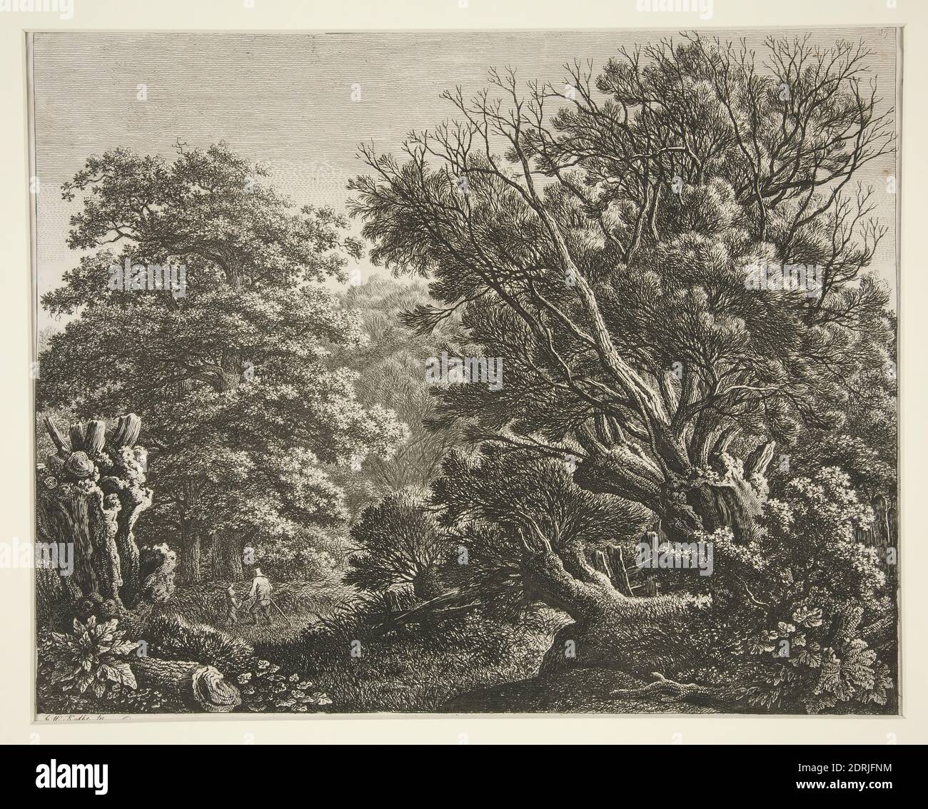 Artista: Carl Wilhelm Kolbe il più grande, tedesco, 1759–1835, Paesaggio con albero gnarlato, incisione, platemark: 26.3 × 33.1 cm (10 3/8 × 13 1/16 in.), Made in Germany, German, 19 ° secolo, opere su carta - stampe Foto Stock
