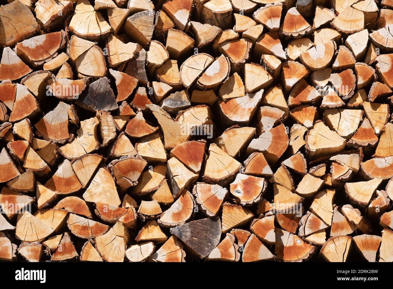 Azienda Barraquand a Saint-Jean-en-Royans, specializzata in tronchi, commercio di tutti i tipi di legno e legna da ardere. Deposito di legno tagliato Foto Stock