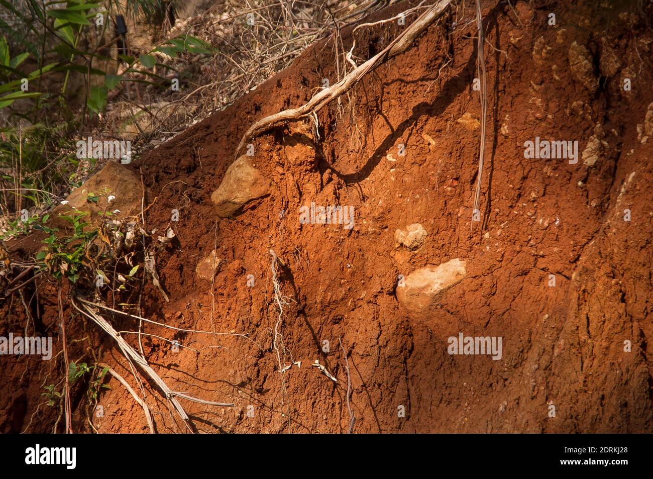 Frana su terreni non consolidati, esponendo massi di basalto. Suoli vulcanici rossi sulla montagna di Tamborine, Queensland, Australia. Foto Stock