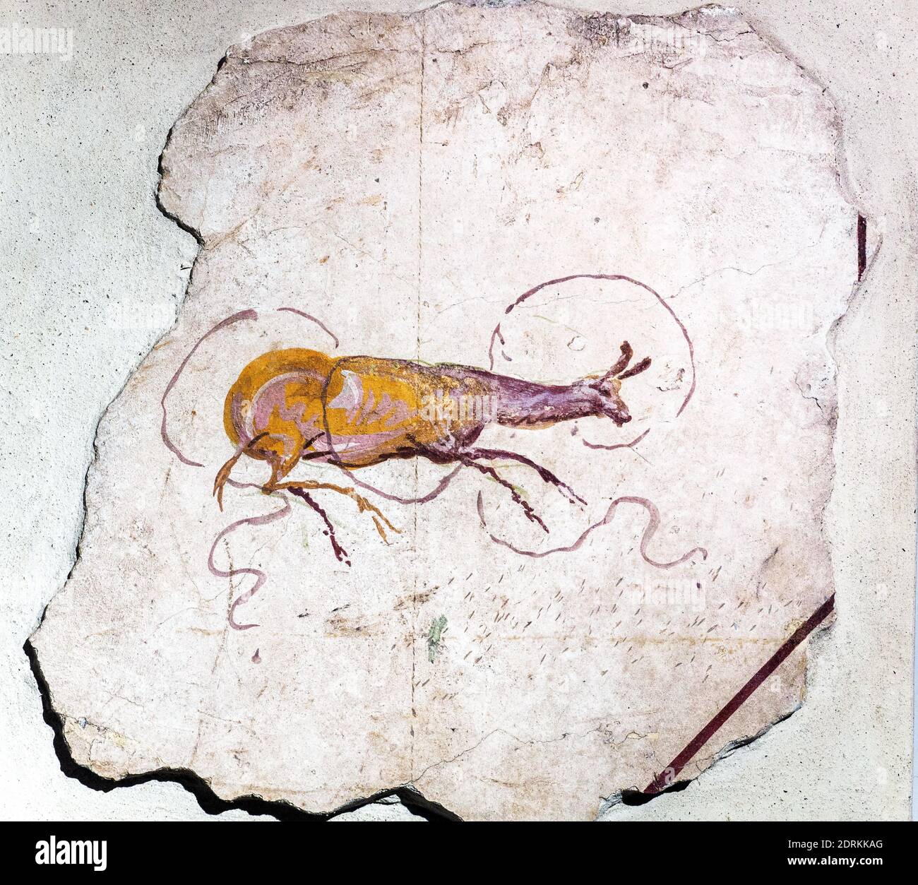 Frammento di un affresco raffigurante un ibex, età imperiale - Museo Nazionale Romano - Terme di Diocleziano - Roma, Italia Foto Stock