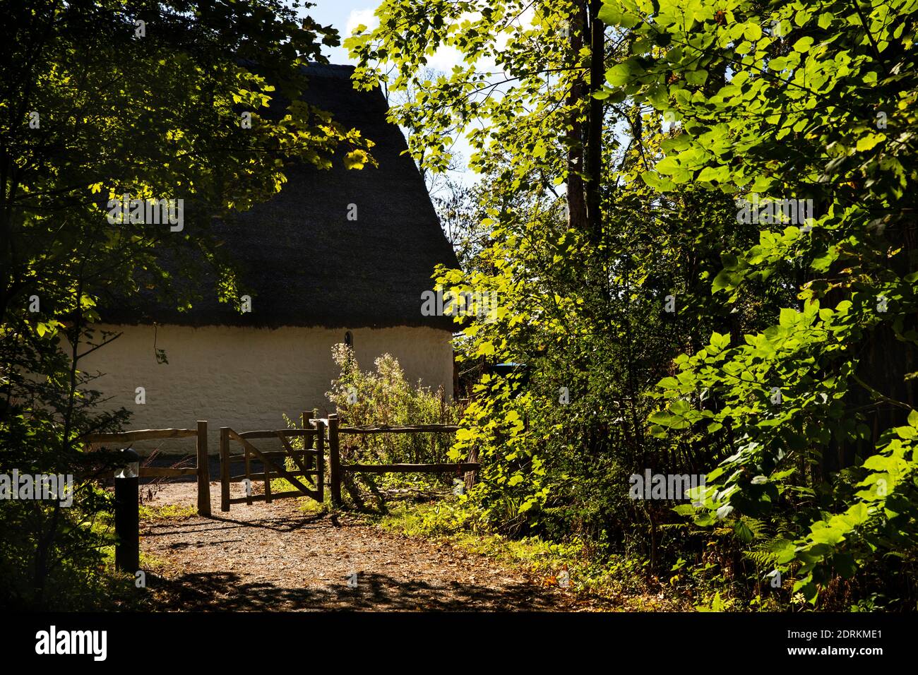 Regno Unito, Galles, Cardiff, St. Fagans, Museo Nazionale di Storia, percorso boschivo per Llys Llewellyn, ricostruzione della Corte medievale dei principi di Gwynedd Foto Stock