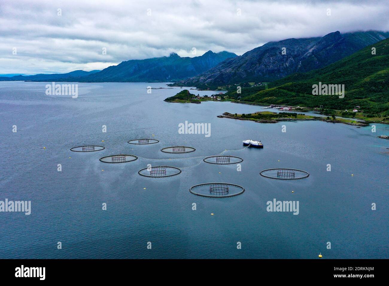 Vista aerea di una fattoria di salmonidi in Norvegia, nuvoloso giorno d'estate - colpo di drone Foto Stock