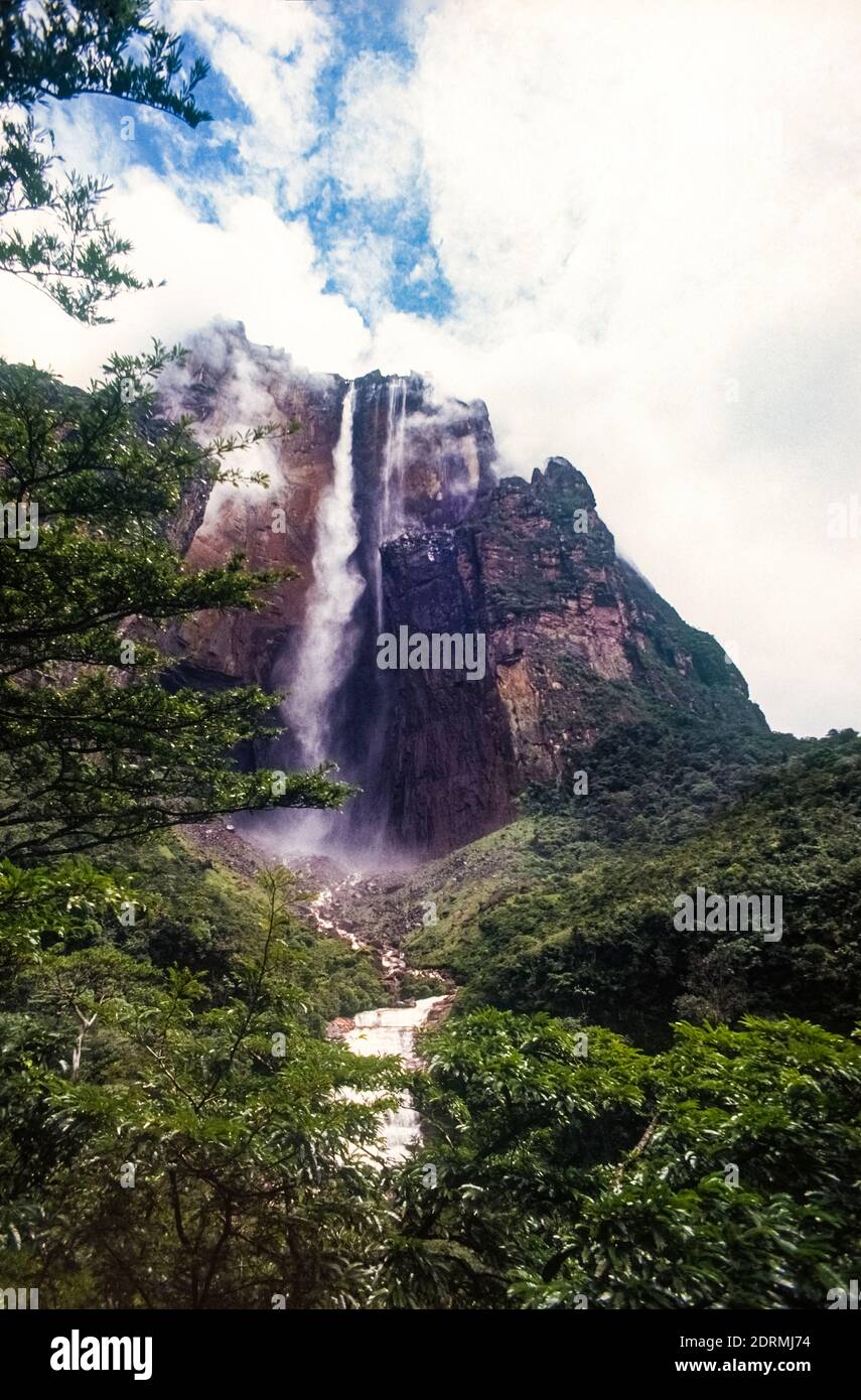 Venezuela Canaima cascata Salto Angel Foto Stock