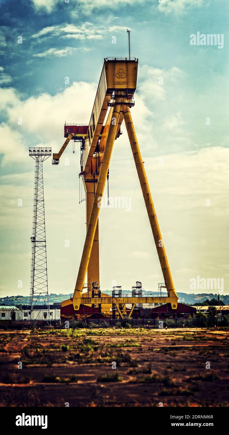 Goliath, una delle due gigantesche gru a portale del cantiere Harland & Wolff di Belfast, Irlanda del Nord. Un'icona molto amata della città, insieme a si Foto Stock