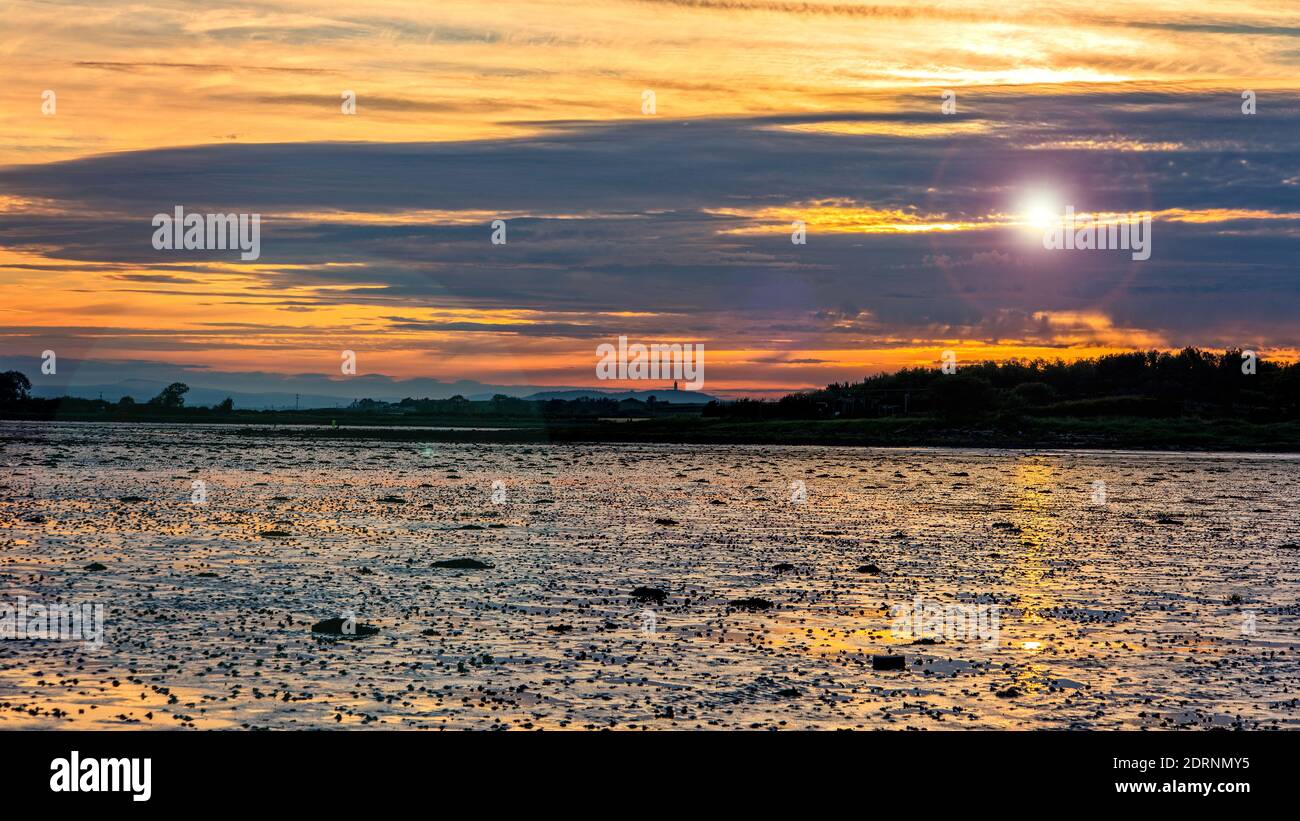 Tramonto di mezza estate a bassa marea su Strangford Lough a Grayabbey, County Down, Irlanda del Nord Foto Stock