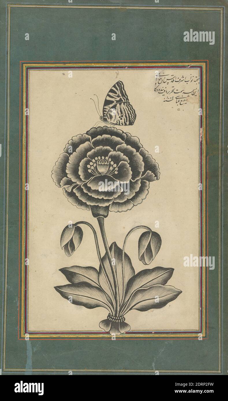 Artista: Shafi Abasi, persiano, attivo ca. 1628–74, Flower and a Butterfly, datato AH 1065–1654/55 CE, inchiostro su carta, foglio: 13 × 8 1/16" (33 × 20.5 cm), dipinti di insetti e fiori divenne popolare nel XVII secolo Iran. Questo lavoro, tuttavia, non è un dipinto, ma un tipo di incisione che potrebbe essere applicata alla carta o ai tessuti. L'iscrizione nell'angolo in alto a destra identifica il disegnatore di motivi come il pittore di corte iraniano Shafi ‘Abbasi, che era noto per i suoi dipinti floreali, dimostrando che i pittori di corte erano liberi di lavorare in diversi mezzi di comunicazione, iraniani/persiani, islamici, Safavid Foto Stock
