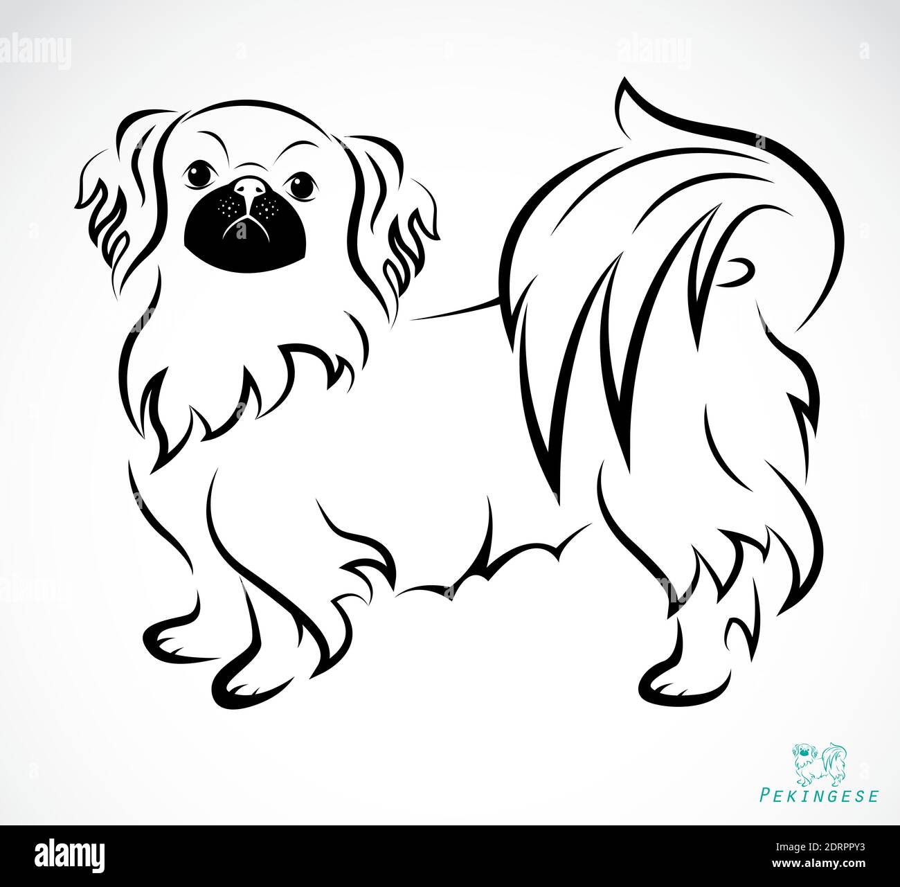 Immagine vettoriale di un cane (pekingese) su sfondo bianco. Illustrazione vettoriale a livelli facilmente modificabile. Animali. Animali domestici. Illustrazione Vettoriale