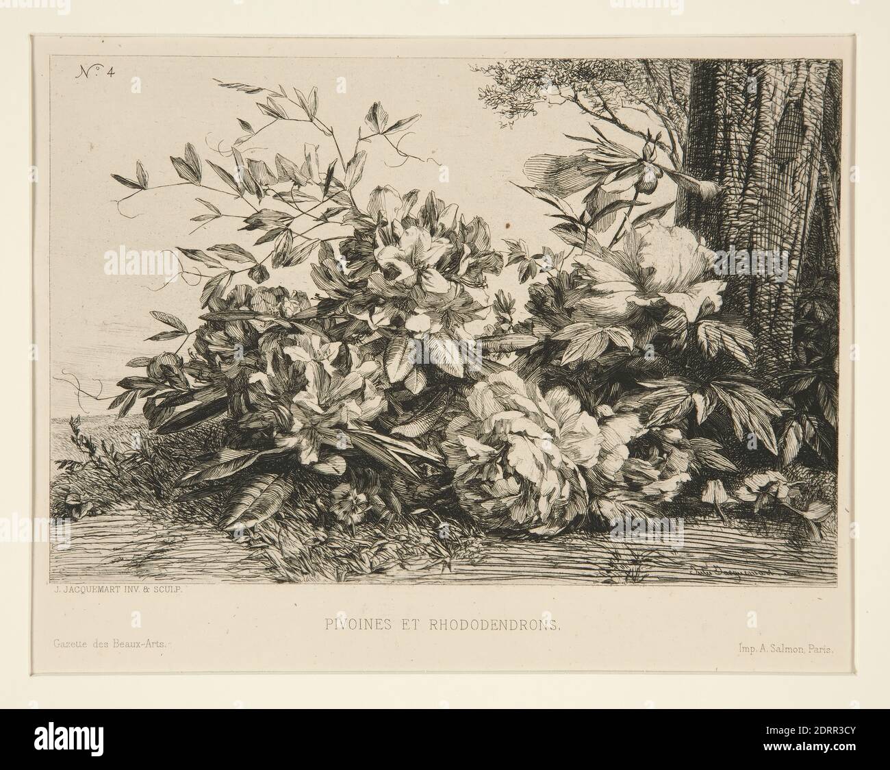 Artista: Jules Ferdinand Jacquemart, Francese, 1837–1880, Pivoines et Rhododendrons, incisione, platemark: 15.4 × 21.3 cm (6 1/16 × 8 3/8 pollici), trasferimento Biblioteca d'Arte di Yale, Francese, XIX secolo, opere su carta - stampe Foto Stock