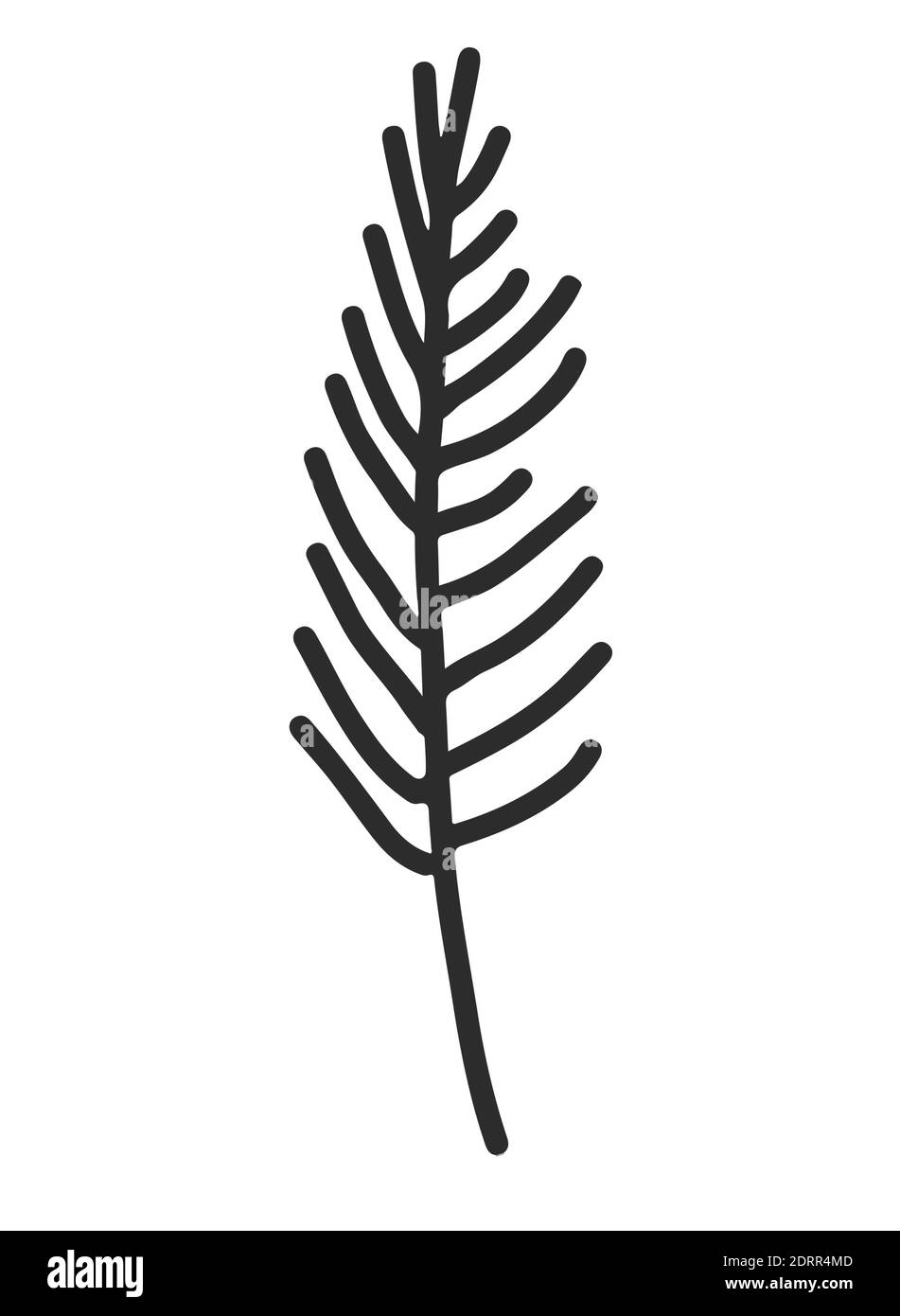 Set di decorazione di Natale disegnato a mano. Set doodle festoso allori e brunch Foto Stock
