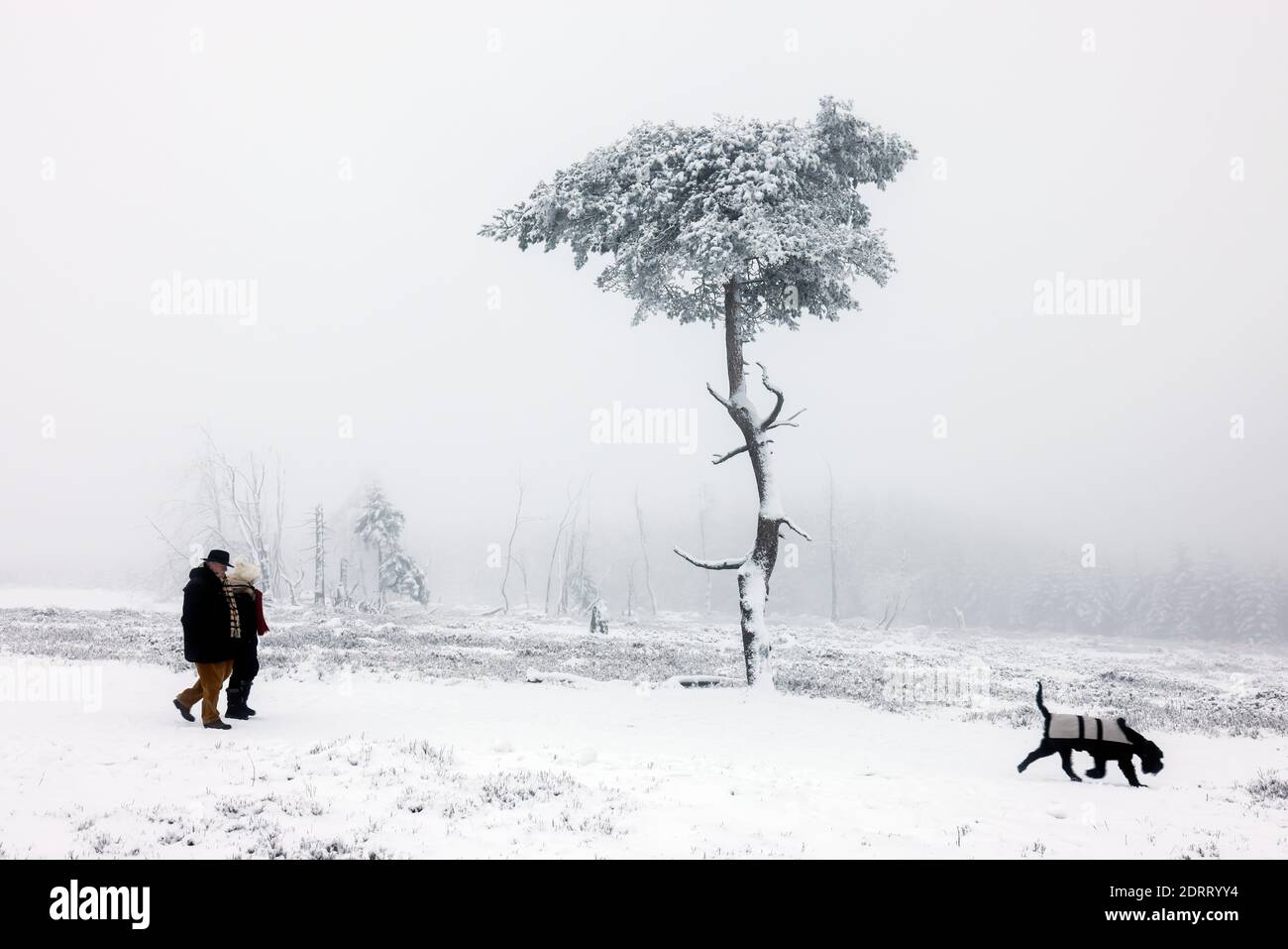 Winterberg, Sauerland, Nord Reno-Westfalia, Germania - la gente cammina sulla montagna Kahler Asten attraverso il paesaggio innevato in tempi di corona crisi Foto Stock