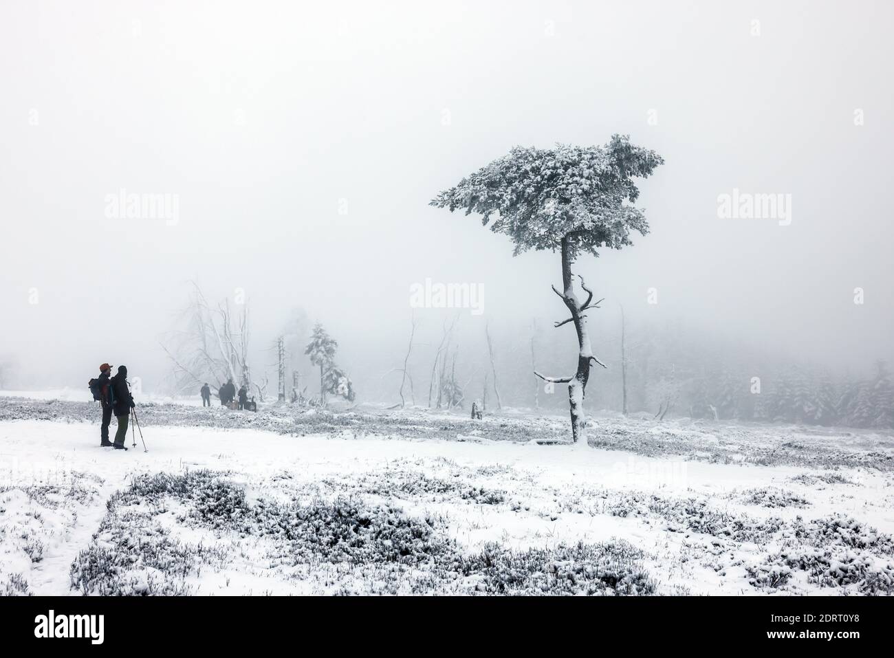 Winterberg, Sauerland, Nord Reno-Westfalia, Germania - la gente cammina sulla montagna Kahler Asten attraverso il paesaggio innevato in tempi di corona crisi Foto Stock