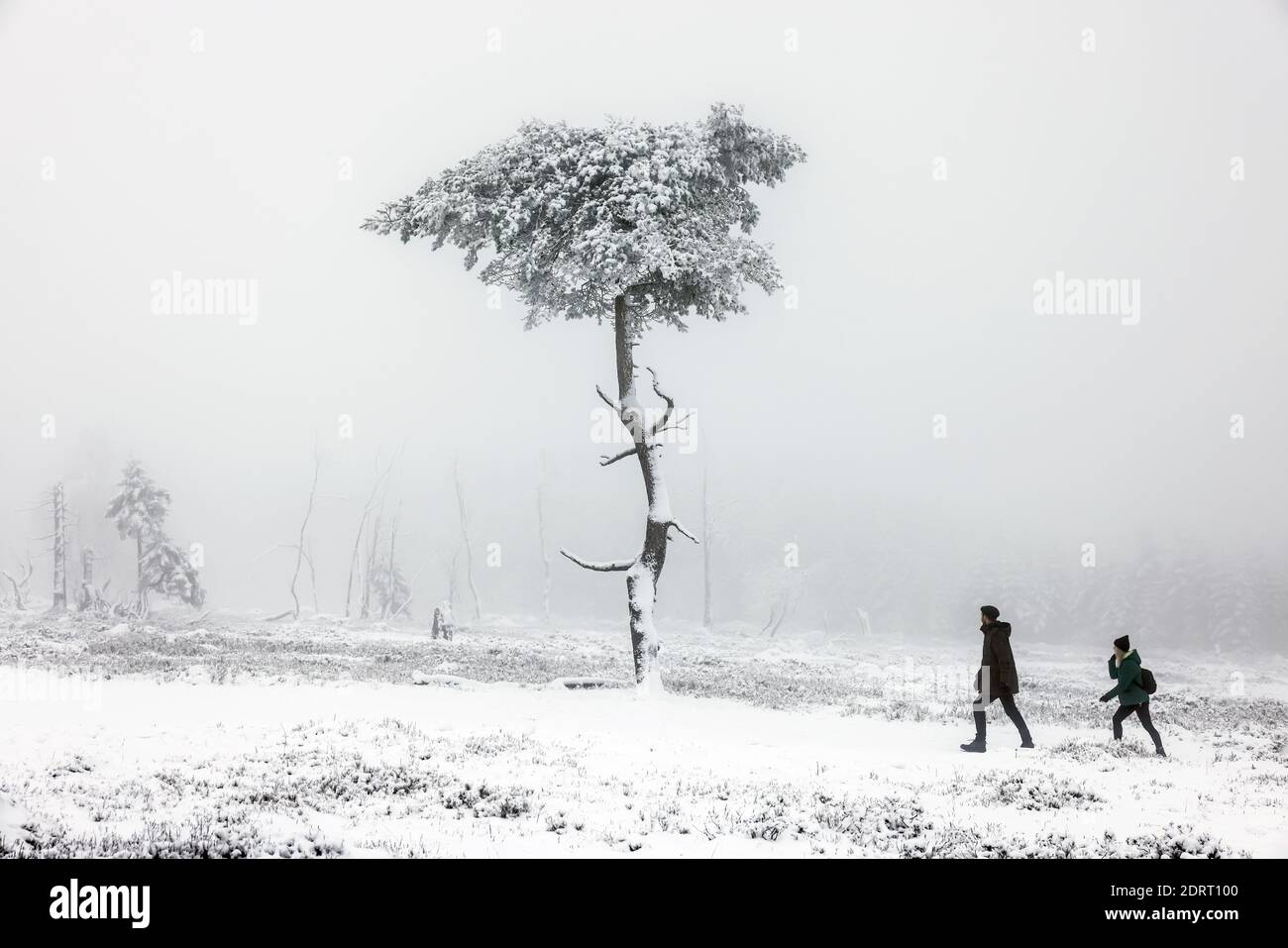 Winterberg, Sauerland, Nord Reno-Westfalia, Germania - la gente cammina sulla montagna Kahler Asten attraverso il paesaggio innevato in tempi di corona crisi Foto Stock