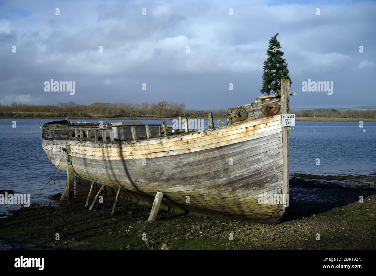 Una vecchia barca di legno con un albero di Natale sulla prua nel mese di dicembre a Dell Quay nel Sussex occidentale. Foto Stock