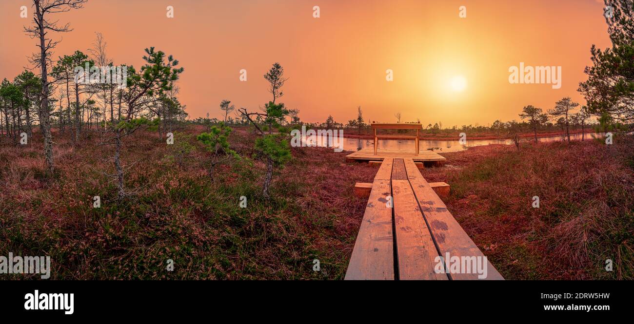 Tramonto sulla grande palude di Kemeri nel Parco Nazionale di Kemeri vicino a Jurmala, Lettonia. Panca vuota di legno dove potete rilassarvi e godervi la vista del tramonto Foto Stock