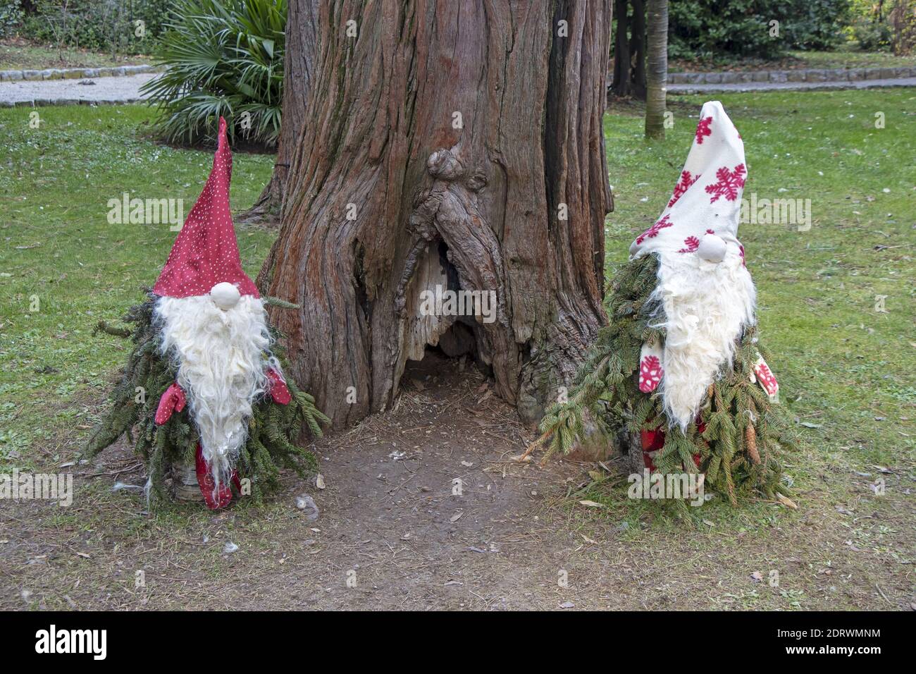 Piccoli nani da giardino fatti di ramoscelli di pino come decorazione di Natale in un parco cittadino a Opatija, Croazia Foto Stock