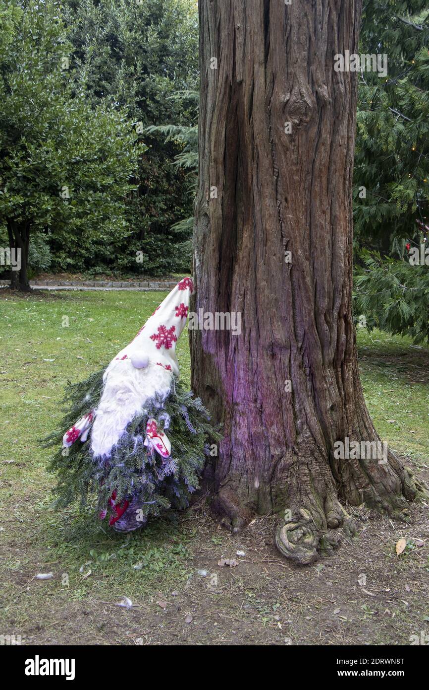 Piccolo giardino nana fatto di ramoscelli di pino come decorazione di Natale in un parco della città di Opatija, Croazia Foto Stock