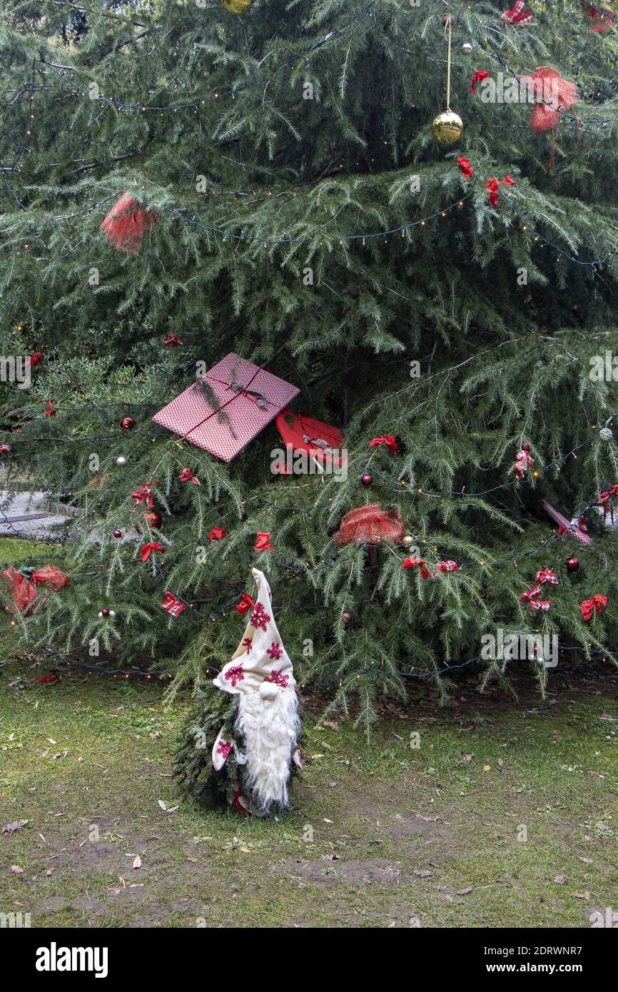 Piccolo giardino nana fatto di ramoscelli di pino come decorazione di Natale in un parco della città di Opatija, Croazia Foto Stock
