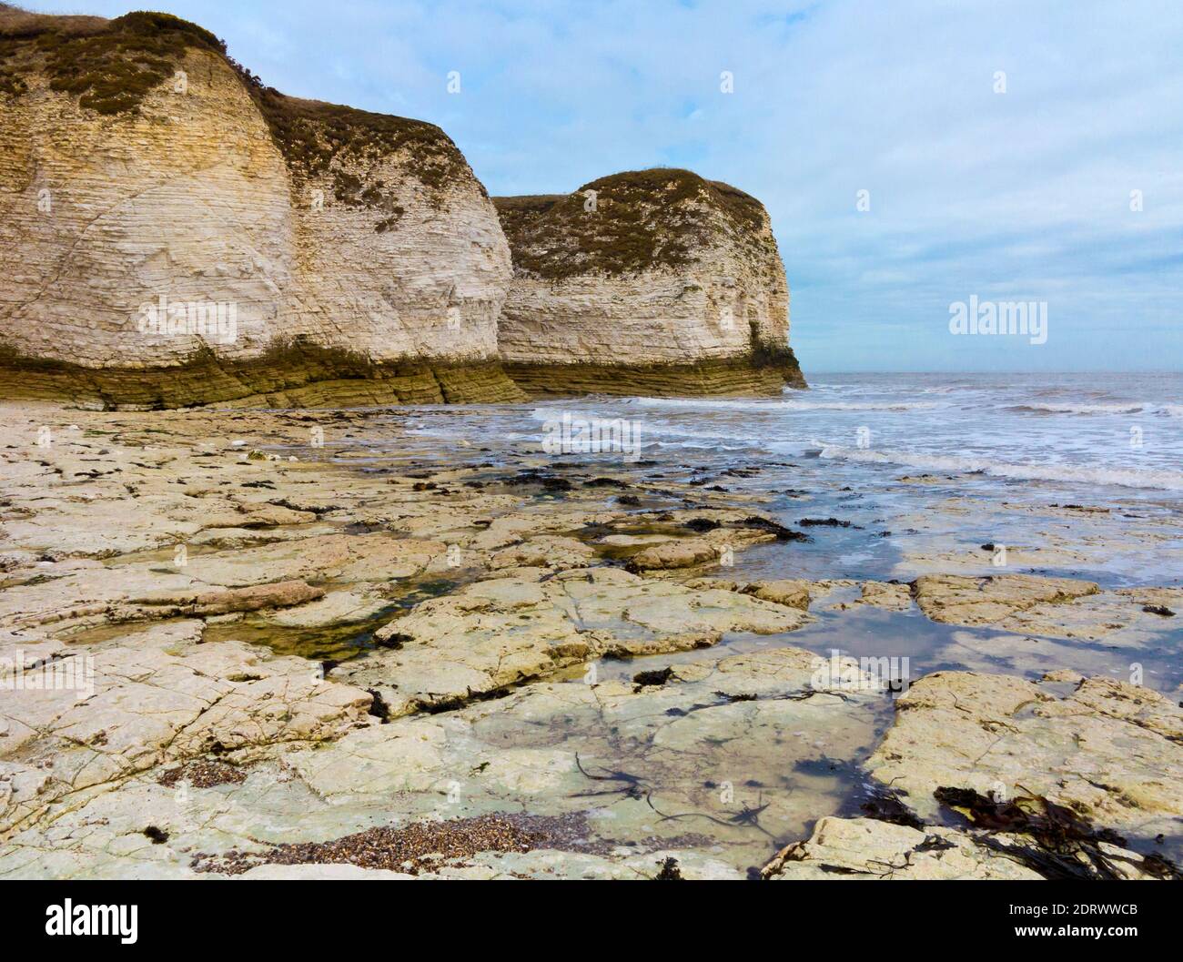 Scogliere di Chalk e spiaggia a Flamborough Head sulla costa dello Yorkshire settentrionale Inghilterra Regno Unito con il Mare del Nord visibile. Foto Stock