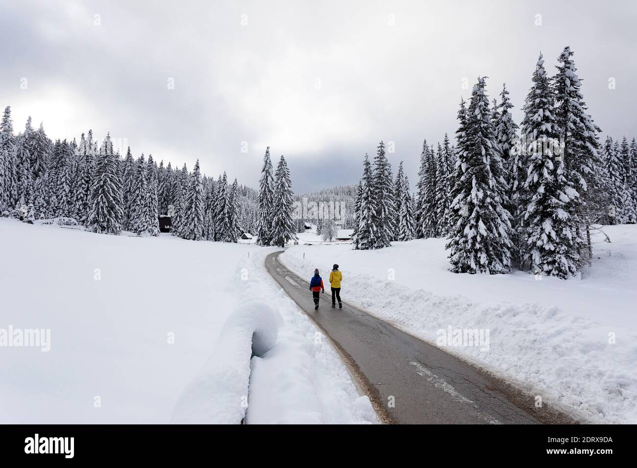 Madre e figlio camminano sulla strada in un paesaggio innevato, Pokljuka, Slovenia Foto Stock