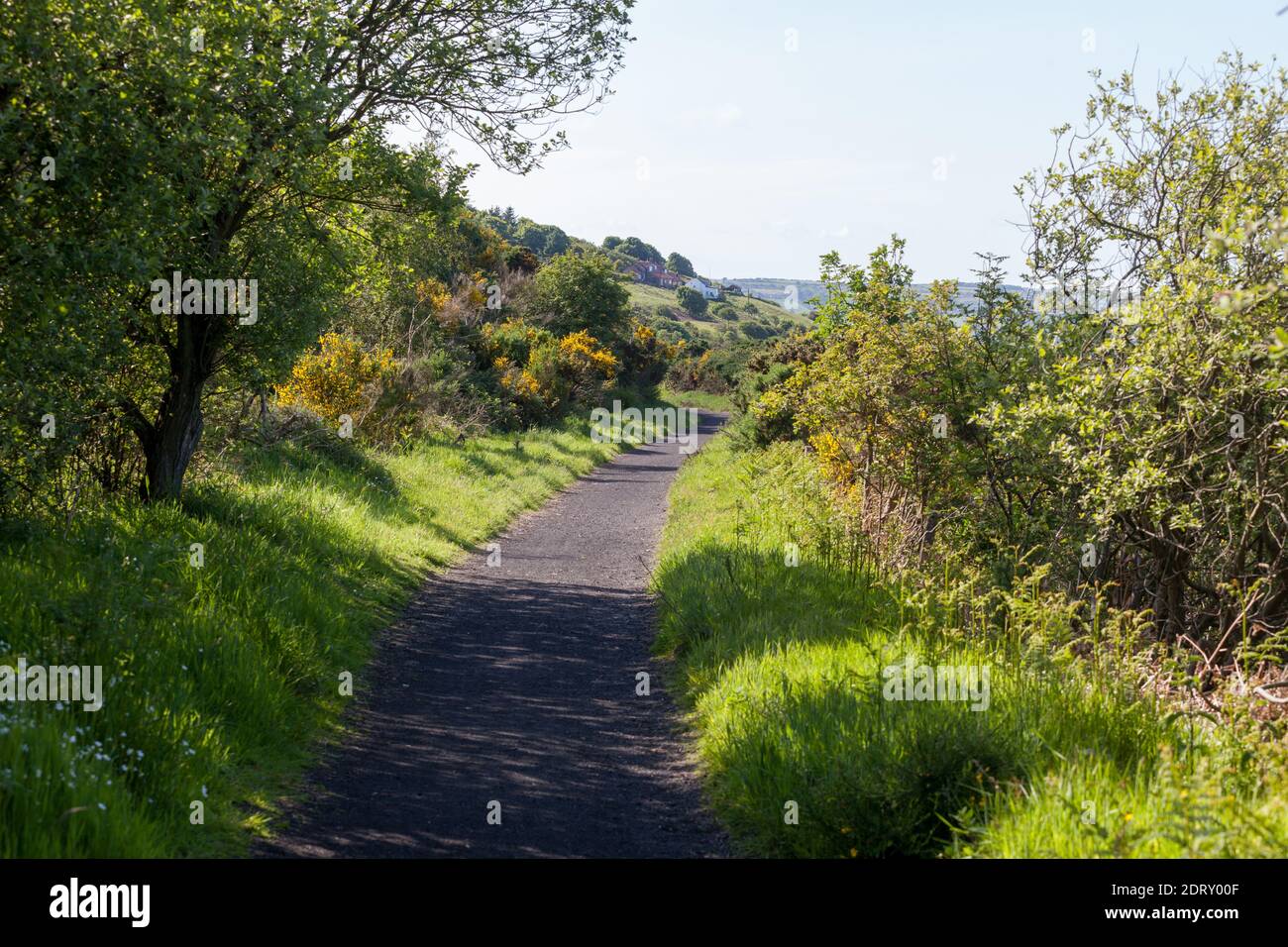 Il Cinder Track - una vecchia ferrovia ora un off Percorso stradale - a Robin Hood's Bay sullo Yorkshire costa Foto Stock