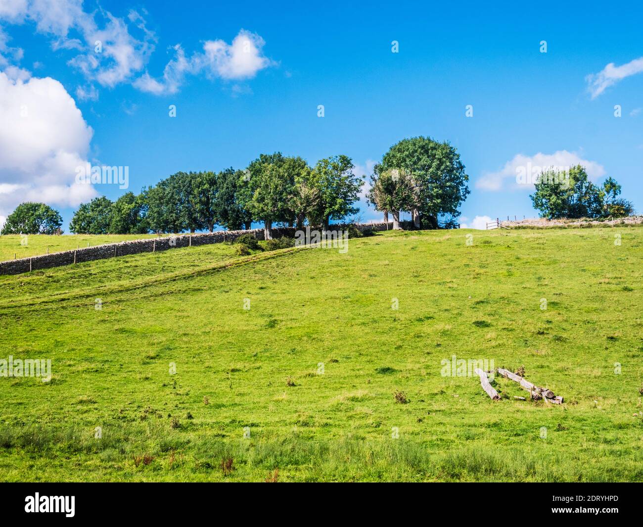 Campagna estiva nel Gloucestershire Cotswolds. Foto Stock
