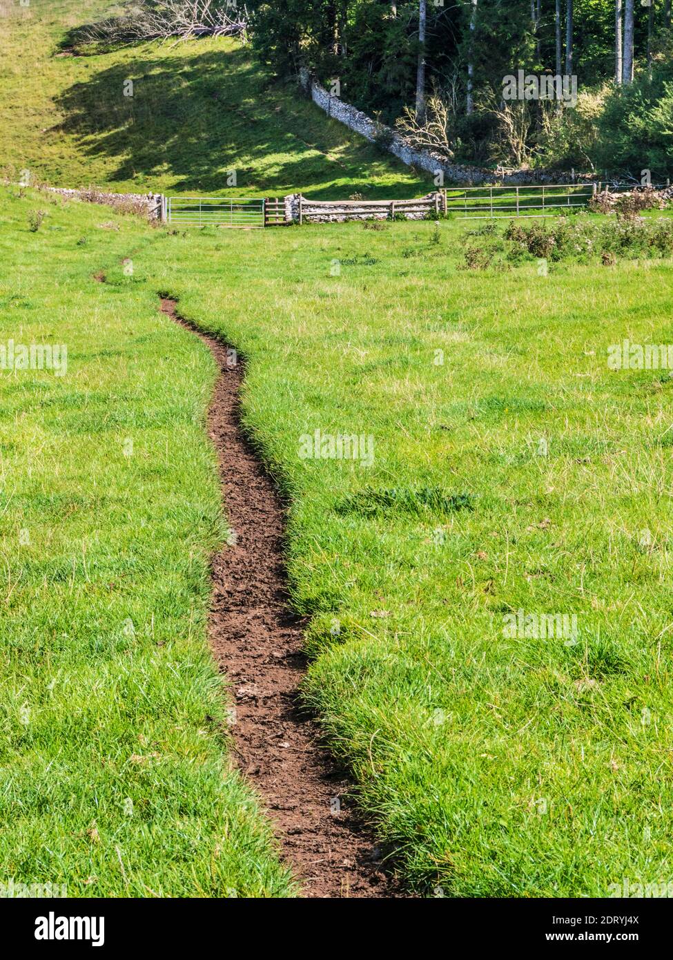 Un sentiero stretto lungo un pendio il Gloucestershire Cotswolds. Foto Stock