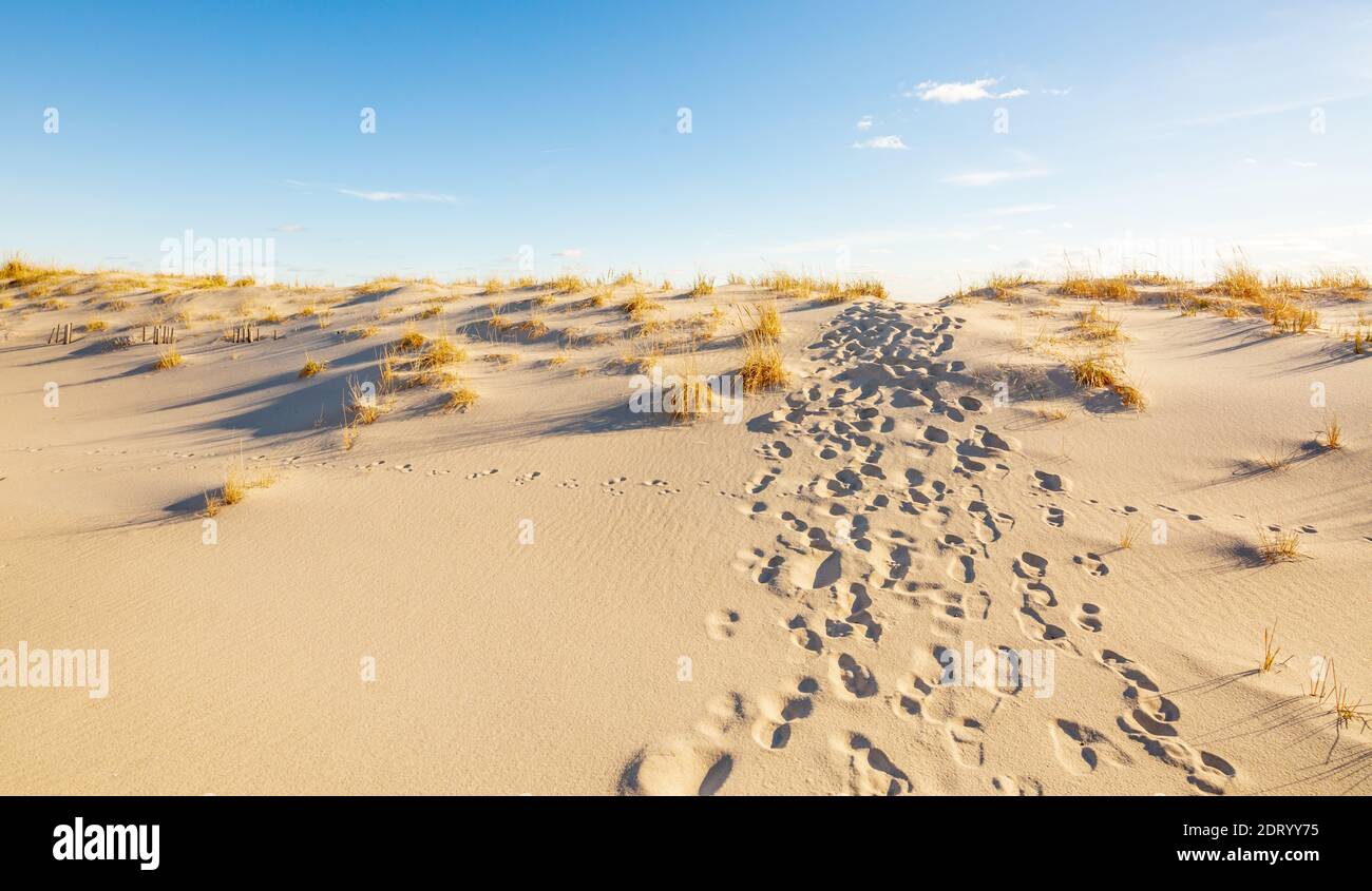 Immagine aerea del surf in una spiaggia di Southampton a Southampton, NY Foto Stock