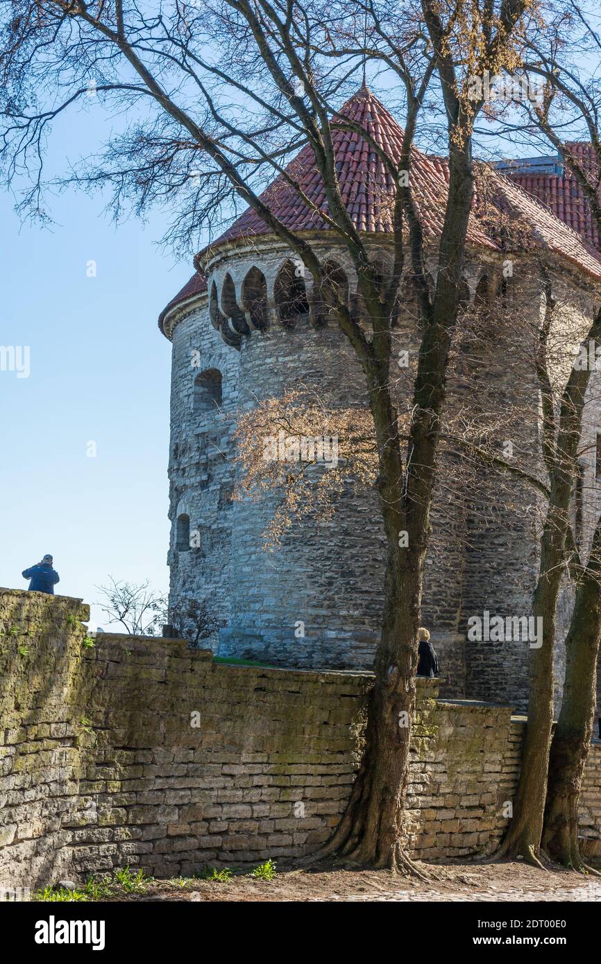 Paks Margareta da via Lai in primavera Città Vecchia di Tallinn Estonia Foto Stock