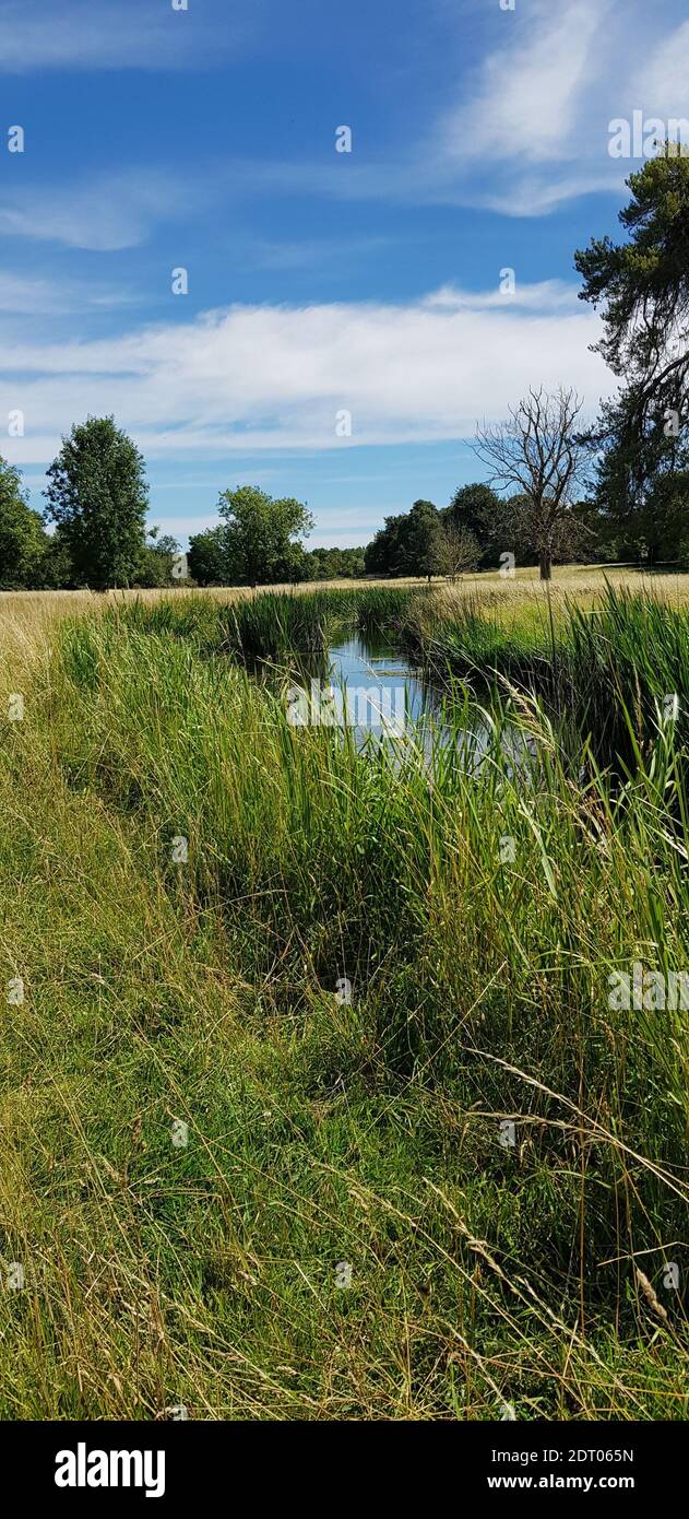 Charlecote Park National Trust Foto Stock