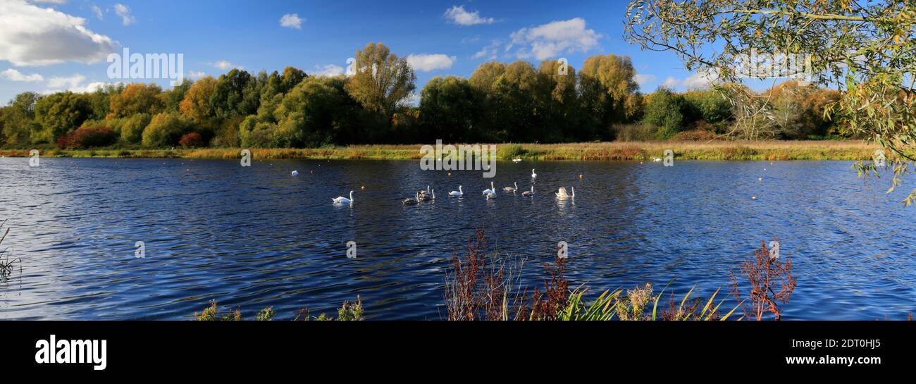 Il lago canottante a Thorpe Meadows, Peterborough città, Cambridgeshire, Inghilterra, Regno Unito Foto Stock