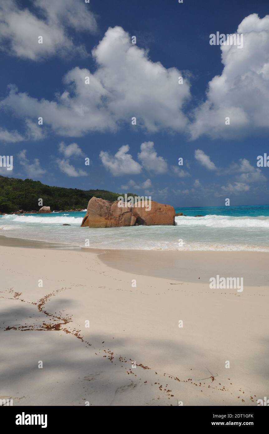 Spiaggia esotica con palme sull'isola di praslin, seychelles Foto Stock