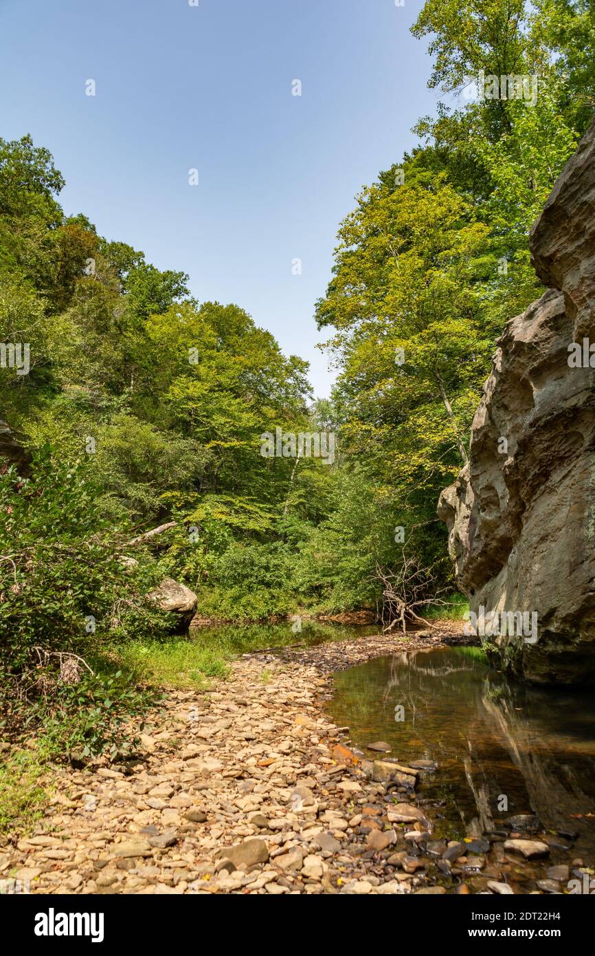 Formazioni rocciose lungo il torrente nell'area di Bell Smith Springs della Shawnee National Forest nell'Illinois meridionale. Foto Stock