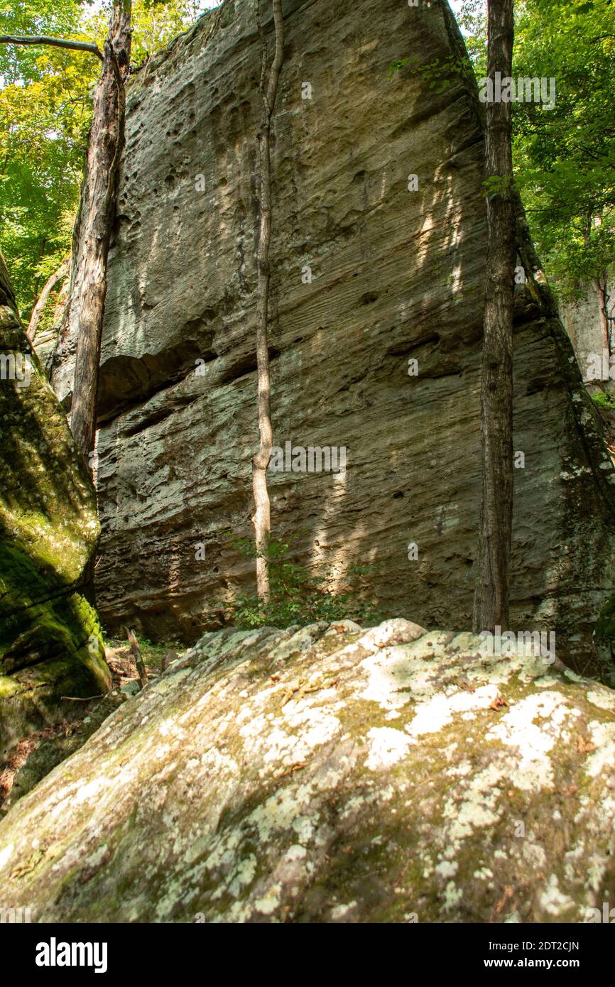 Formazioni rocciose lungo il torrente nell'area di Bell Smith Springs della Shawnee National Forest nell'Illinois meridionale. Foto Stock