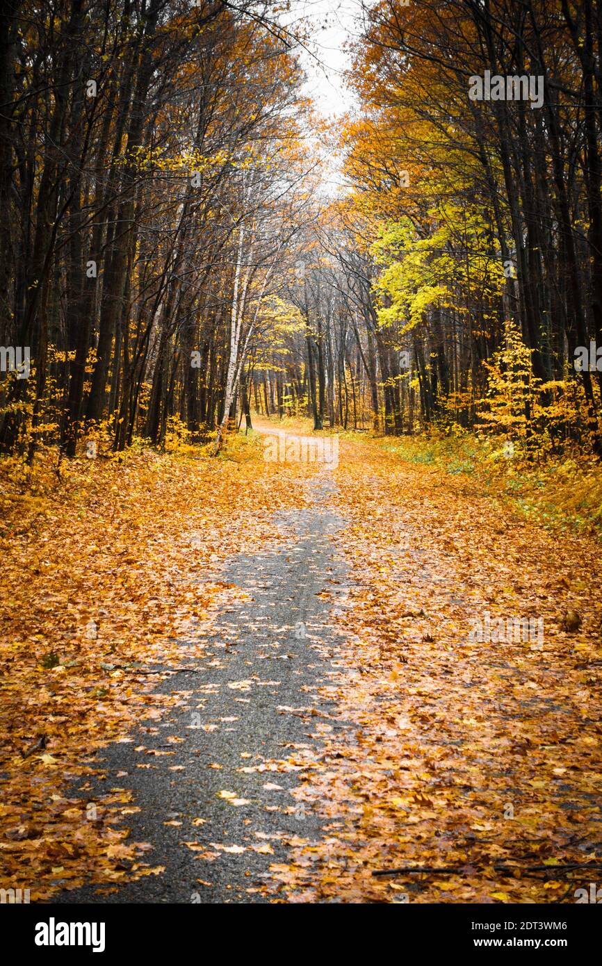 Vista panoramica del sentiero autunnale Foto Stock