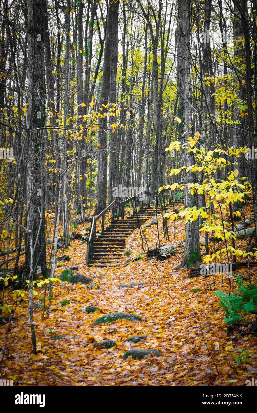 Vista panoramica della natura in autumns Foto Stock