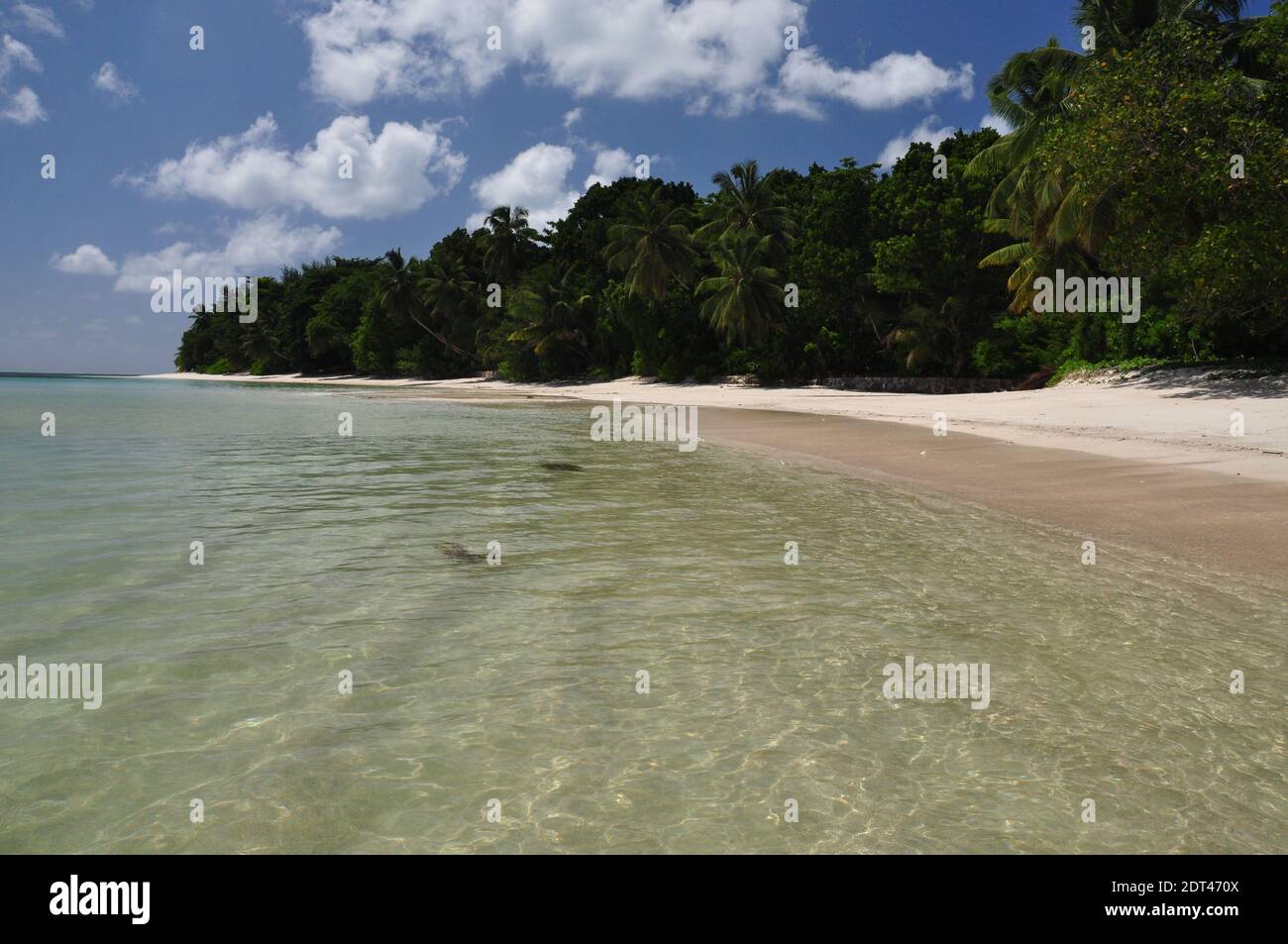 Spiaggia esotica con palme sull'isola di praslin, seychelles Foto Stock