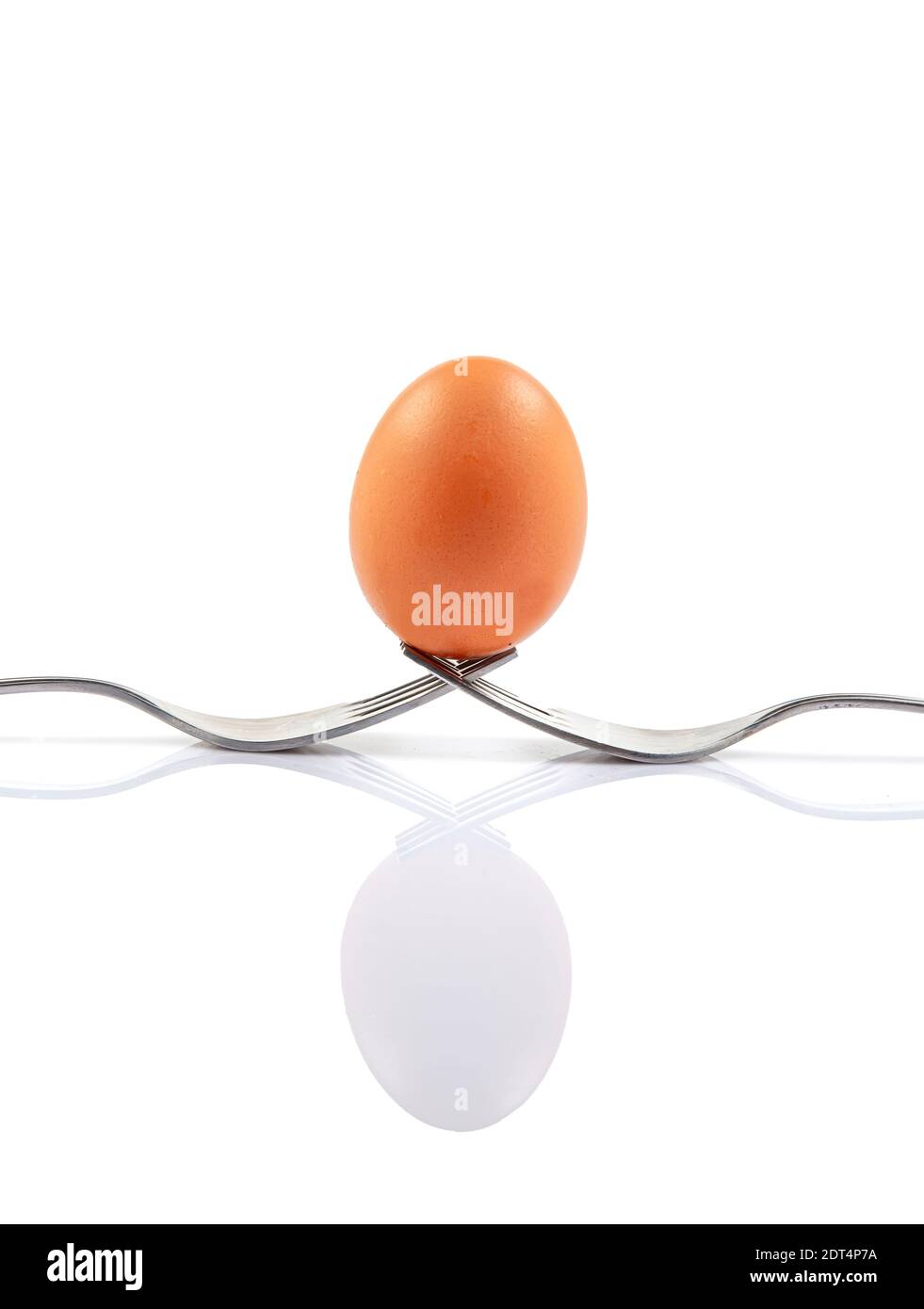 Fotografia di natura morta. Due forchette insieme creano una custodia per un uovo bianco che si bilancia su di loro. Uovo bilanciato su forchette con fondo bianco. Foto Stock