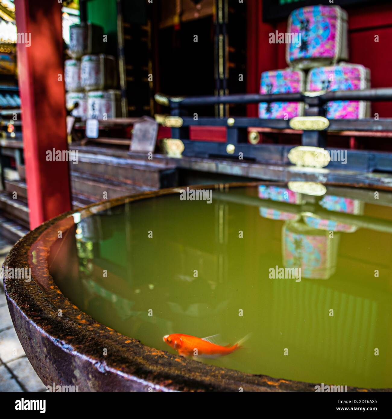 Kunozan al Santuario di Toshogu a Shizuoka, Giappone Foto Stock