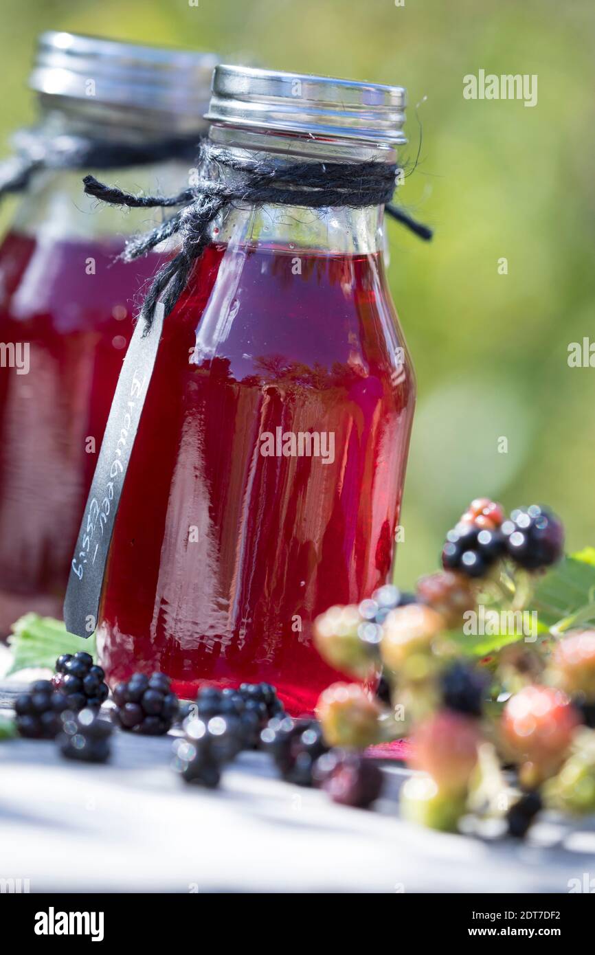 Arbusti blackberry (Rubus fruticosus), selfmade blackberry balsamico, Germania Foto Stock