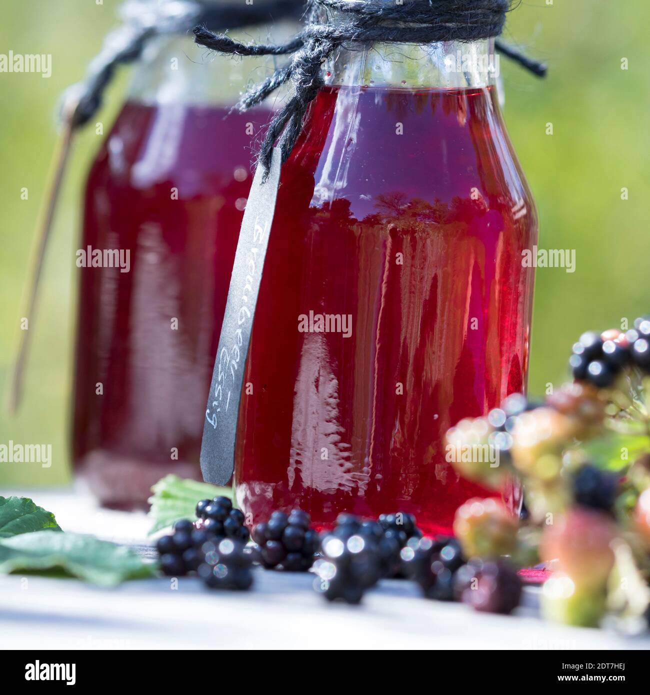 Arbusti blackberry (Rubus fruticosus), selfmade blackberry balsamico, Germania Foto Stock