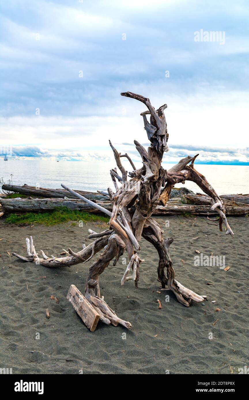 Arte costiera driftwood da Esquimalt Lagoon, Vancouver Island, Canada Foto Stock