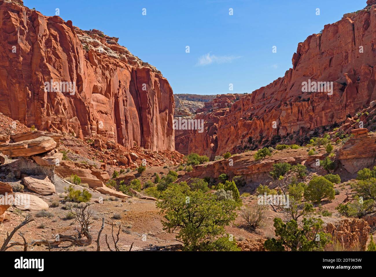 Dirigiti verso un Deep Canyon nel Capitol Reef National Park In Utah Foto Stock