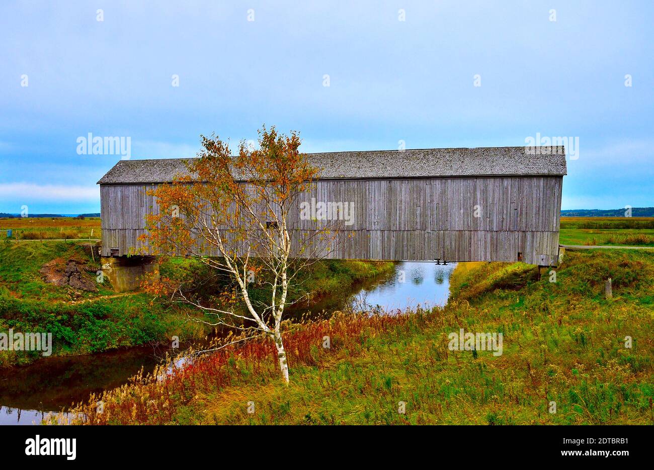 Un'immagine di paesaggio di caduta che mostra il vecchio ponte coperto a. Segheria Creek, Albert County, New Brunswick, Canada Foto Stock