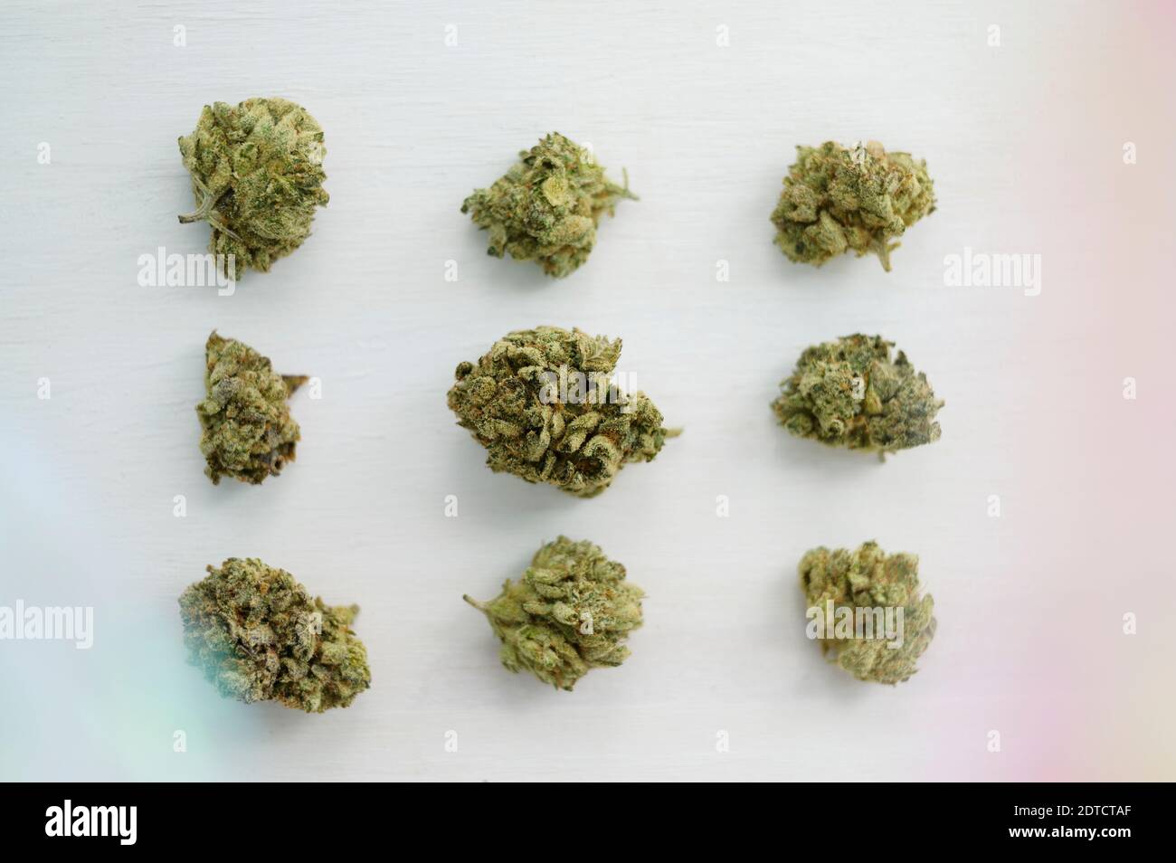 Studio di filari di papille di cannabis Foto Stock