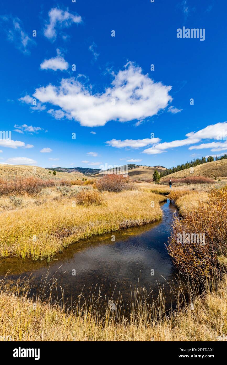USA, Idaho, Stanley, donna anziana che cammina per ruscello tra l'erba in un paesaggio non urbano Foto Stock