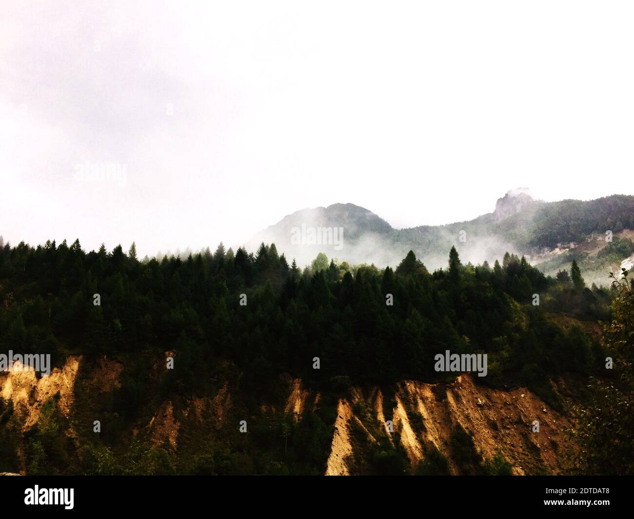 Vista panoramica di alberi e montagne contro il cielo Foto Stock