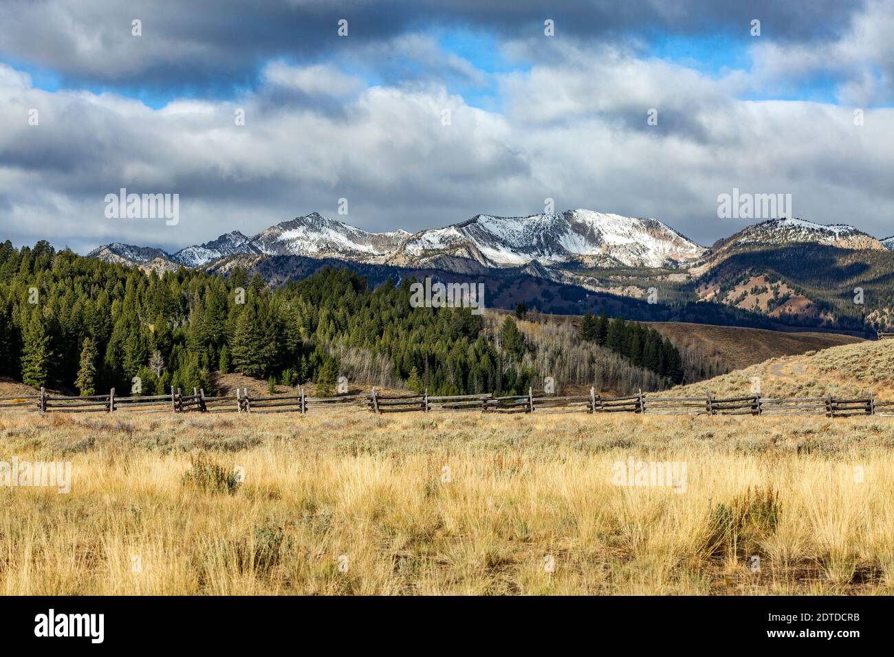 USA, Idaho, Stanley, Ranch paesaggio con montagne e foreste Foto Stock