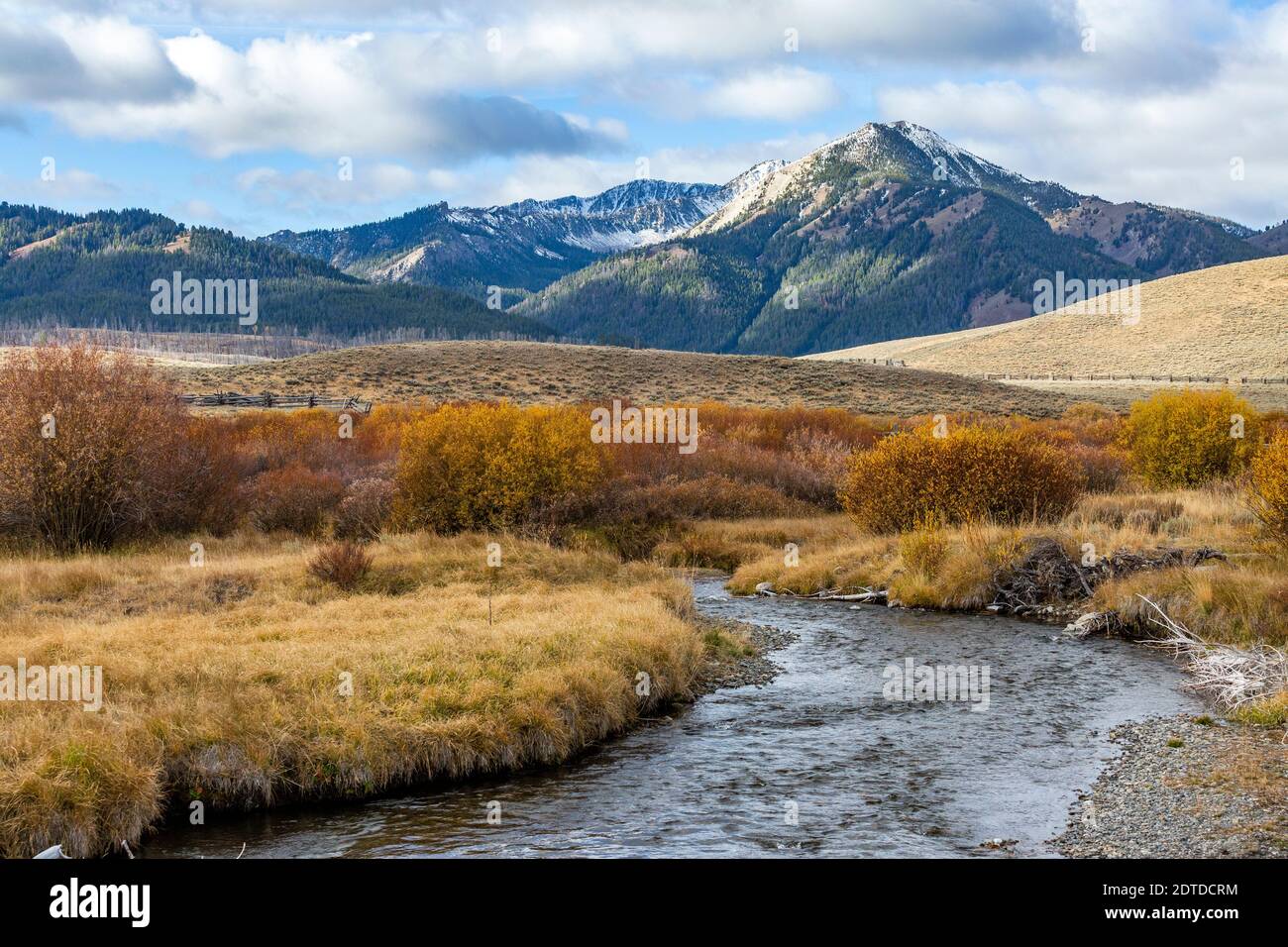 USA, Idaho, Stanley, Paesaggio con ruscello e montagne Foto Stock